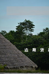 逾期贷款盘活申请 逾期贷款盘活申请
