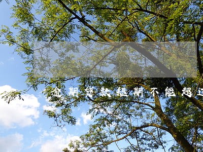 逾期贷款短期不能超过 逾期贷款短期不能超过