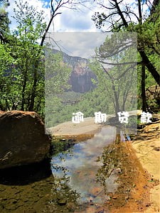 逾期贷款笔数