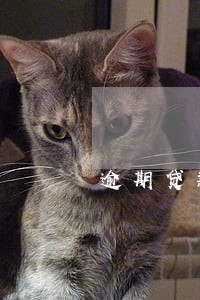 逾期贷款算直接损失 逾期贷款算直接损失