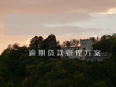 逾期贷款管理方案 逾期贷款管理方案