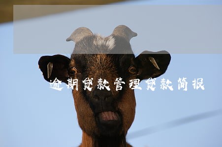 逾期贷款管理贷款简报 逾期贷款管理贷款简报