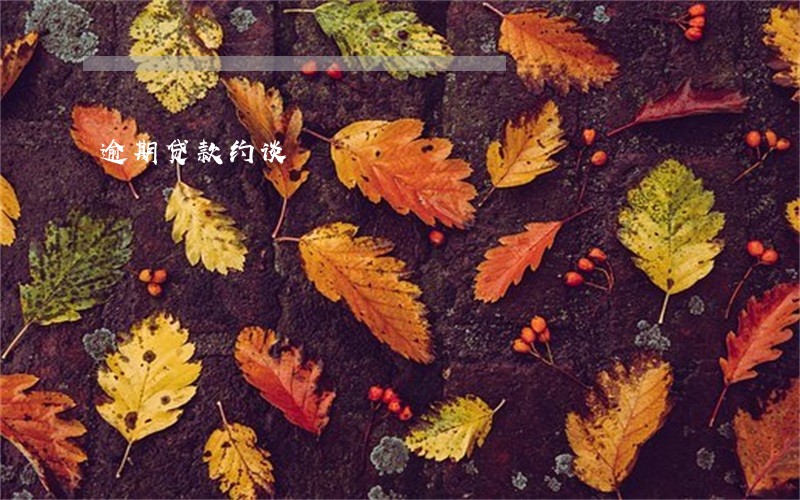 逾期贷款约谈 逾期贷款约谈