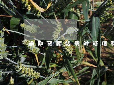 逾期贷款结清对征信有影响吗6 逾期贷款结清对征信有影响吗6