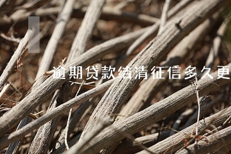 逾期贷款结清征信多久更新 逾期贷款结清征信多久更新