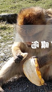 逾期贷款统计口径 逾期贷款统计口径