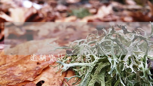 逾期贷款罚息多少 逾期贷款罚息多少
