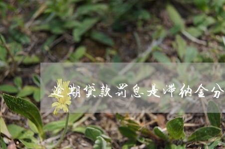 逾期贷款罚息是滞纳金分录