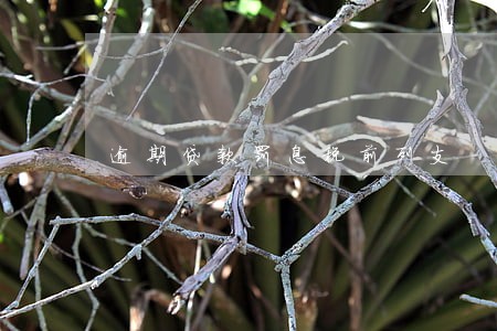 逾期贷款罚息税前列支
