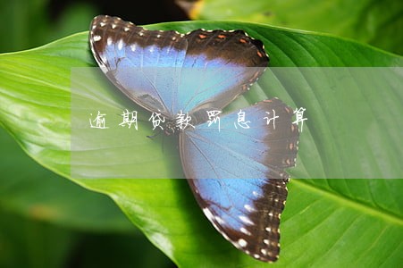 逾期贷款罚息计算 逾期贷款罚息计算