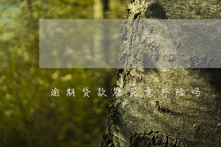 逾期贷款能买意外险吗 逾期贷款能买意外险吗