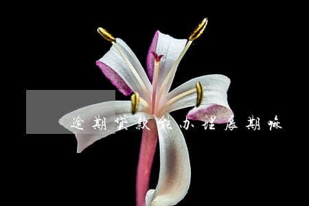 逾期贷款能办理展期嘛 逾期贷款能办理展期嘛