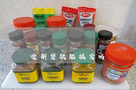 逾期贷款能搞定吗