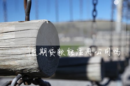 逾期贷款能注册公司吗 逾期贷款能注册公司吗