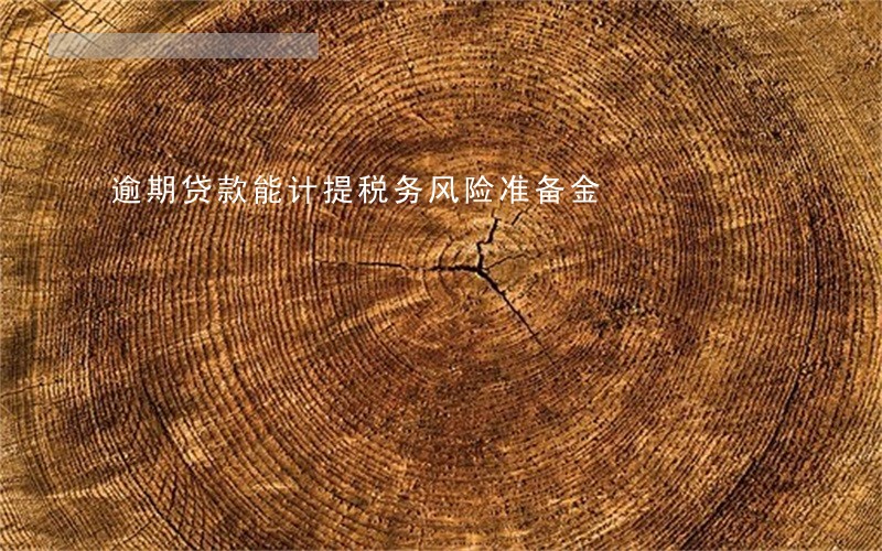 逾期贷款能计提税务风险准备金 逾期贷款能计提税务风险准备金