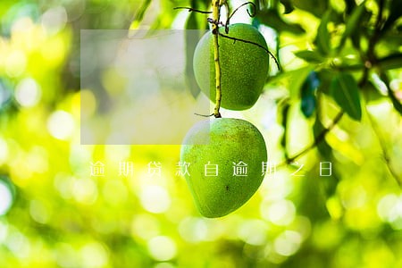 逾期贷款自逾期之日 逾期贷款自逾期之日