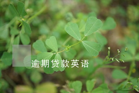 逾期贷款英语 逾期贷款英语