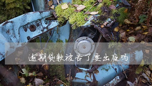 逾期贷款被告了要出庭吗 逾期贷款被告了要出庭吗