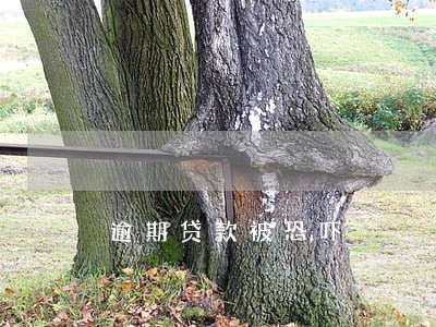 逾期贷款被恐吓 逾期贷款被恐吓