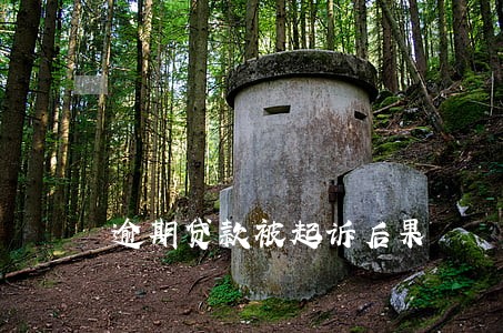 逾期贷款被起诉后果 逾期贷款被起诉后果