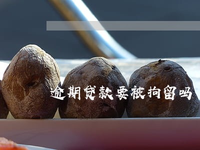 逾期贷款要被拘留吗 逾期贷款要被拘留吗