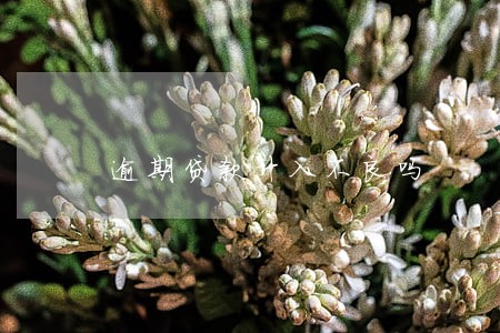 逾期贷款计入不良吗 逾期贷款计入不良吗
