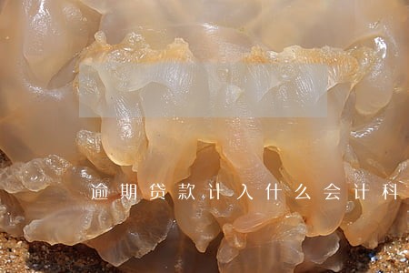 逾期贷款计入什么会计科目 逾期贷款计入什么会计科目