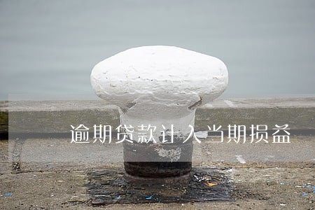 逾期贷款计入当期损益 逾期贷款计入当期损益