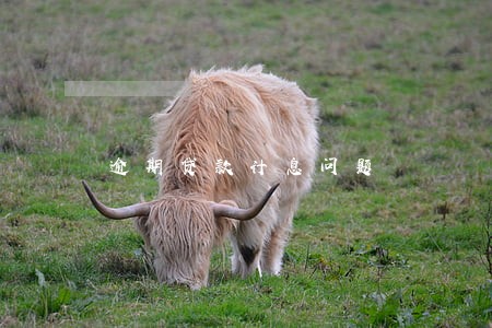 逾期贷款计息问题 逾期贷款计息问题