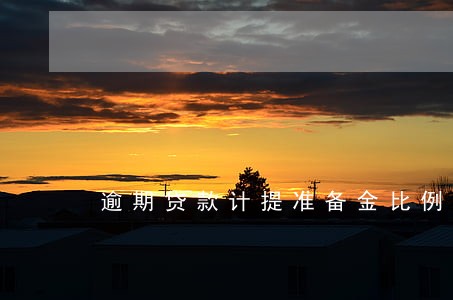 逾期贷款计提准备金比例 逾期贷款计提准备金比例