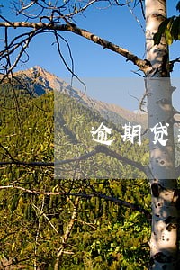 逾期贷款计提利息 逾期贷款计提利息