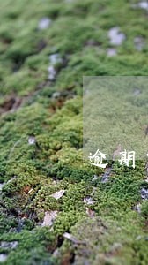 逾期贷款计算付息吗 逾期贷款计算付息吗