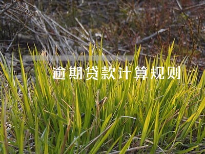 逾期贷款计算规则 逾期贷款计算规则