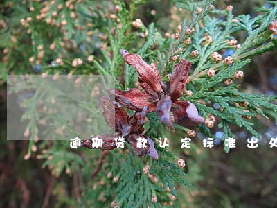 逾期贷款认定标准出处 逾期贷款认定标准出处