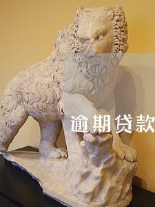 逾期贷款记录 逾期贷款记录