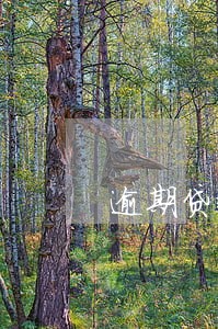 逾期贷款记录图片 逾期贷款记录图片