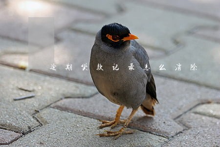 逾期贷款记录怎么消除 逾期贷款记录怎么消除