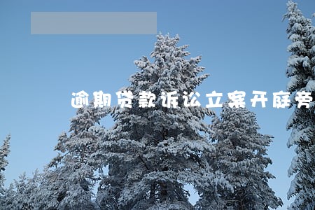 逾期贷款诉讼立案开庭旁听 逾期贷款诉讼立案开庭旁听