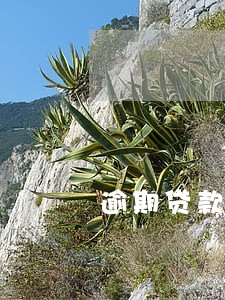 逾期贷款诉讼资料 逾期贷款诉讼资料