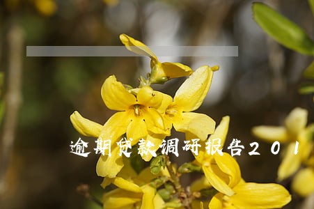 逾期贷款调研报告2019 逾期贷款调研报告2019