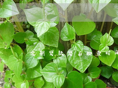 逾期贷款贷后检查时间 逾期贷款贷后检查时间