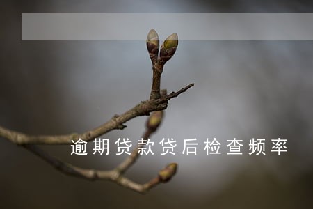 逾期贷款贷后检查频率 逾期贷款贷后检查频率