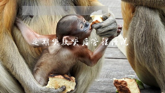 逾期贷款贷后管理情况 逾期贷款贷后管理情况