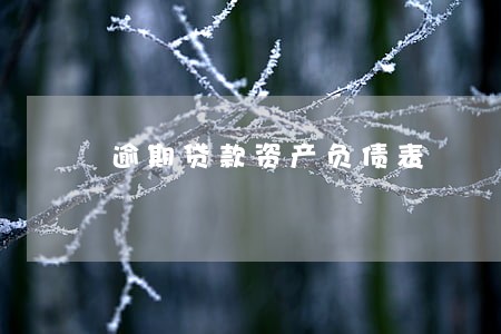 逾期贷款资产负债表 逾期贷款资产负债表