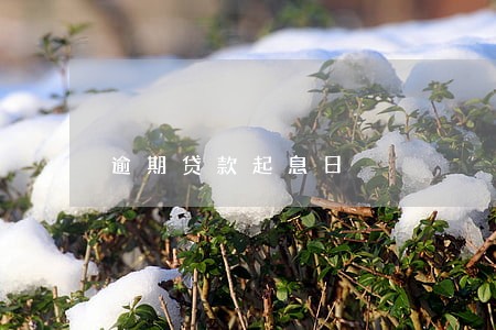 逾期贷款起息日 逾期贷款起息日