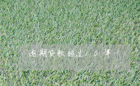 逾期贷款超过10年 逾期贷款超过10年