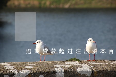 逾期贷款超过注册资本百分之 逾期贷款超过注册资本百分之