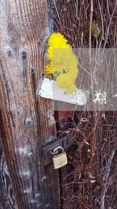 逾期贷款车去4s店保养没事吧 逾期贷款车去4s店保养没事吧