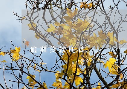 逾期贷款迁徙 逾期贷款迁徙