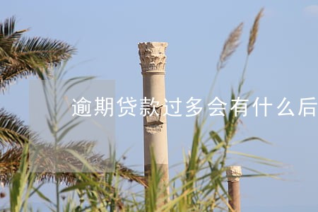 逾期贷款过多会有什么后果 逾期贷款过多会有什么后果